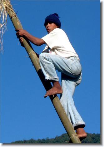 Click for the original image